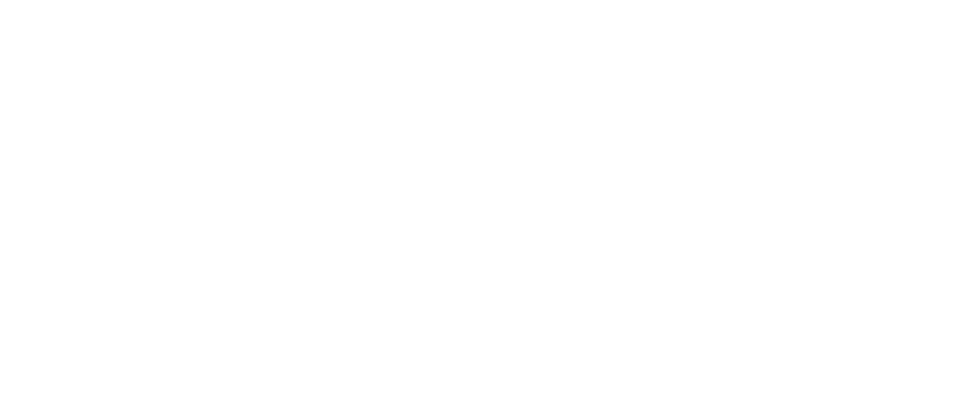 Vizen Logo